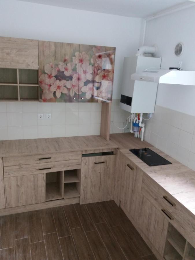 Apartament Lux Albert Olimp Εξωτερικό φωτογραφία